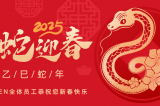 辭舊迎新，蛇舞華章丨深圳容金科技全體員工祝您新春快樂(lè)！